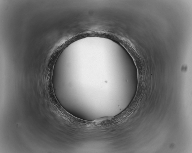 X0000098211159200805081128