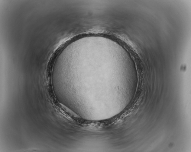 X0000098211160200805081128