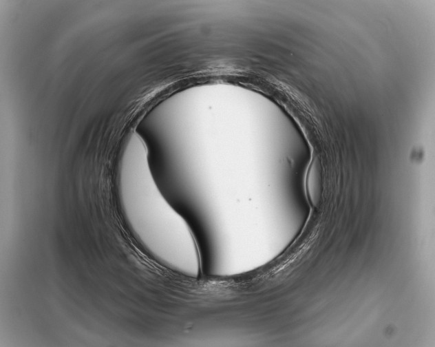 X0000098211161200805081128