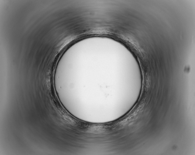X0000098211162200805081128
