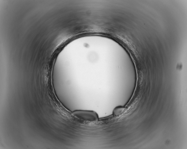 X0000098211163200805081128