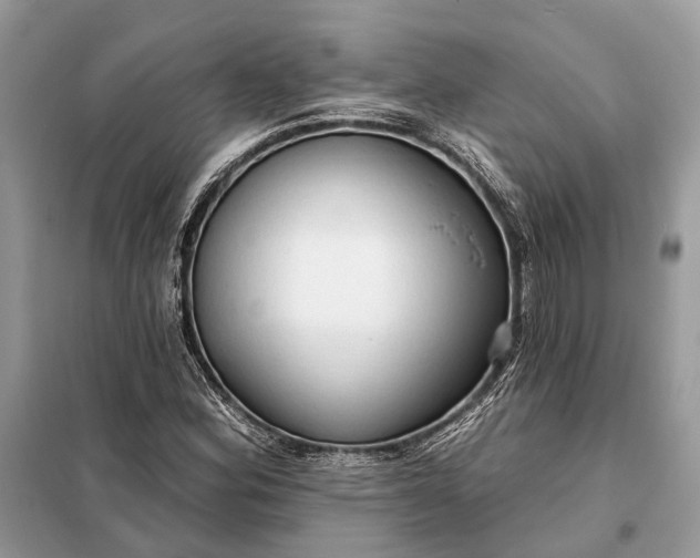 X0000098211164200805081128
