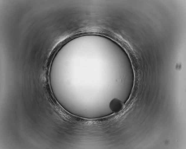 X0000098211166200805081128