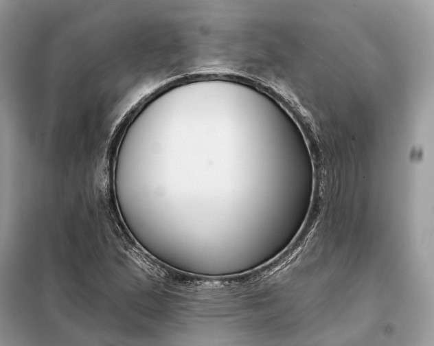 X0000098211167200805081128