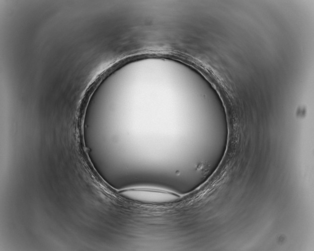 X0000098211168200805081128
