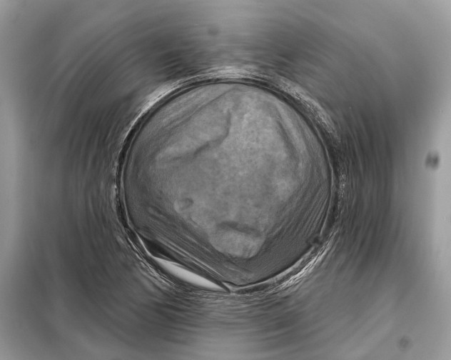 X0000098211170200805081128