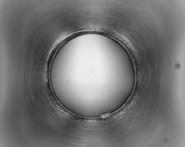 X0000098211172200805081128