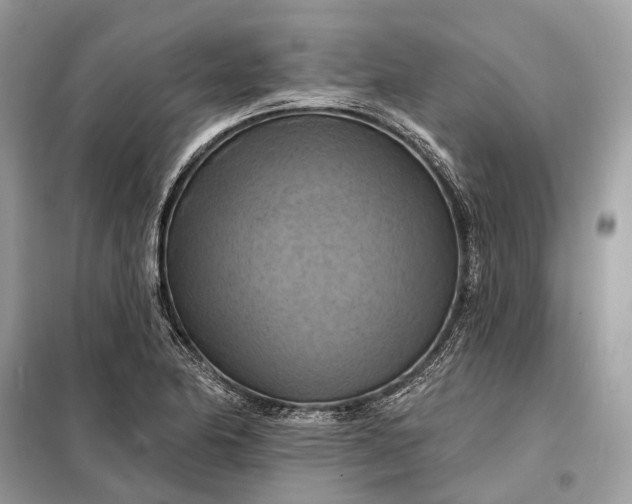 X0000098211174200805081128