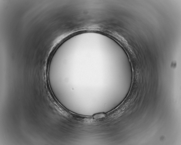 X0000098211176200805081128