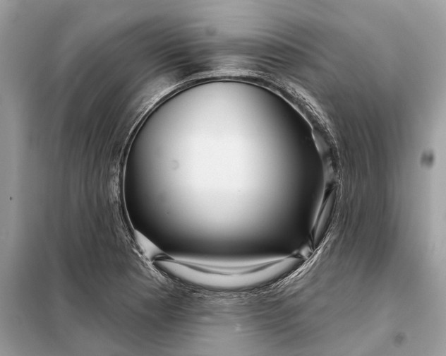 X0000098211177200805081128