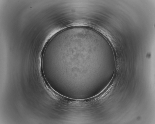 X0000098211179200805081128