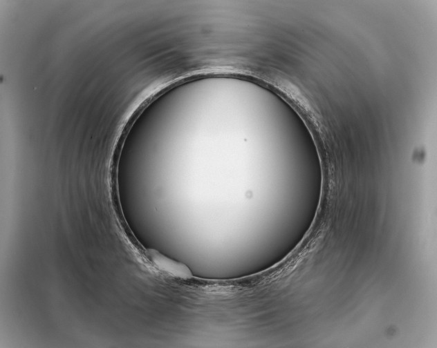 X0000098211181200805081128