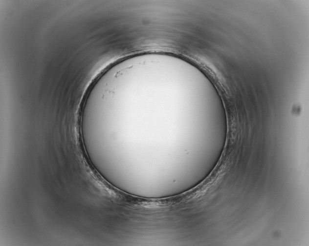 X0000098211182200805081128