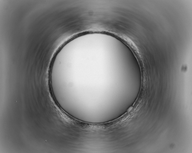 X0000098211183200805081128