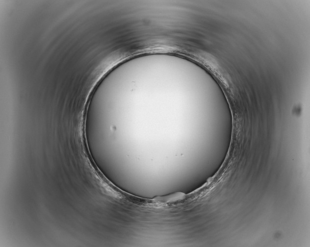 X0000098211186200805081128