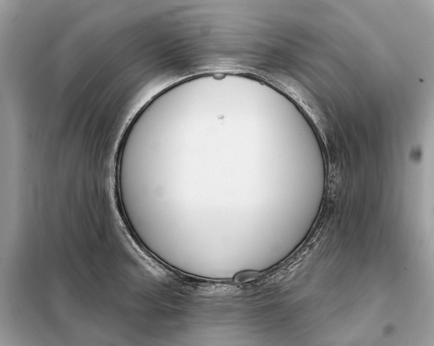 X0000098211187200805081128