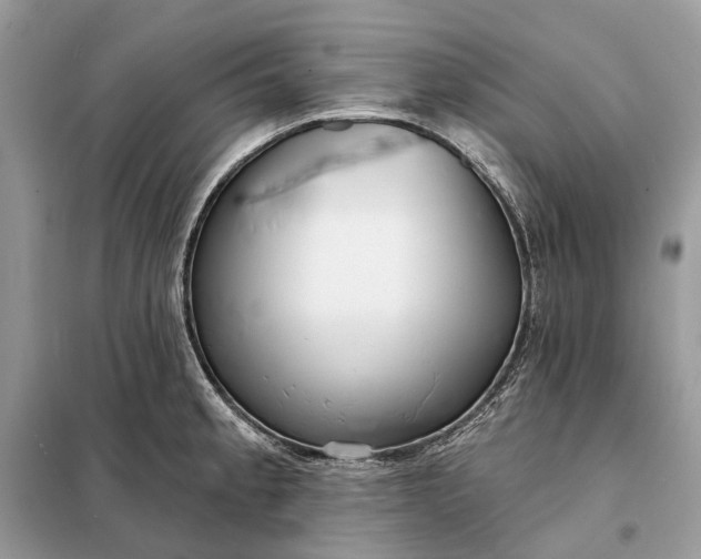 X0000098211189200805081128