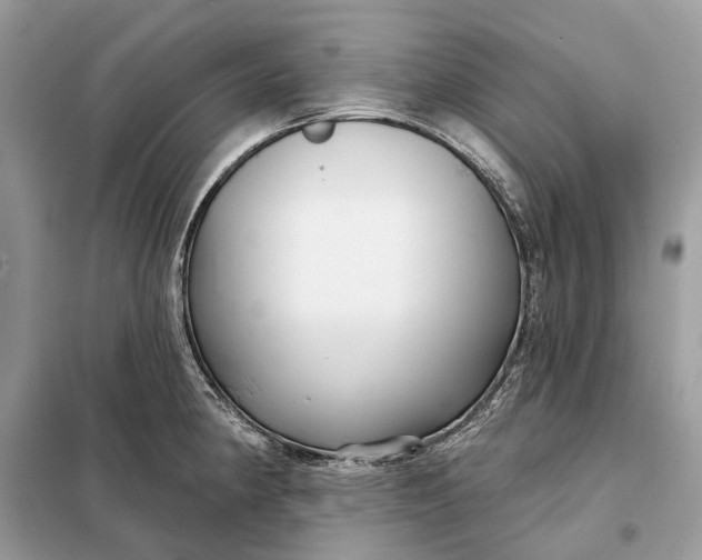 X0000098211190200805081128