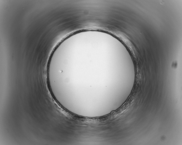 X0000098211191200805081128