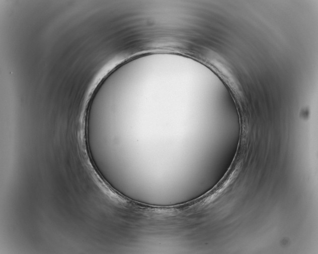 X0000098211196200805081127