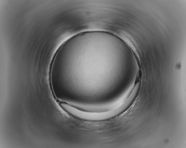 X0000098211197200805081127