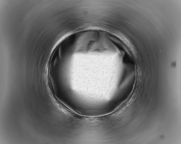 X0000098211198200805081127