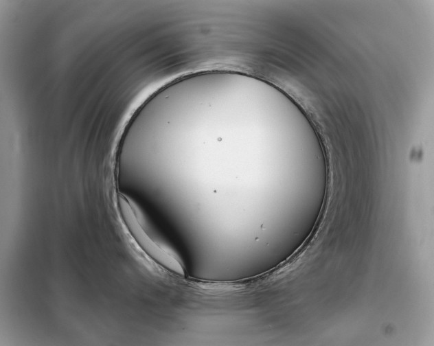 X0000098211200200805081127