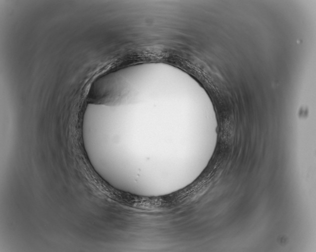 X0000098211201200805081127