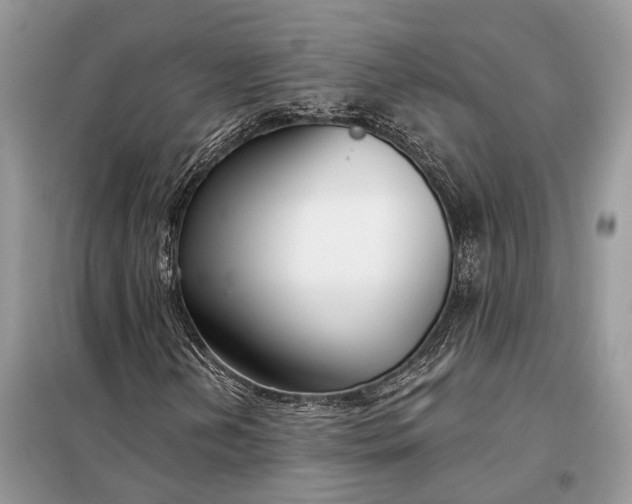X0000098211202200805081127