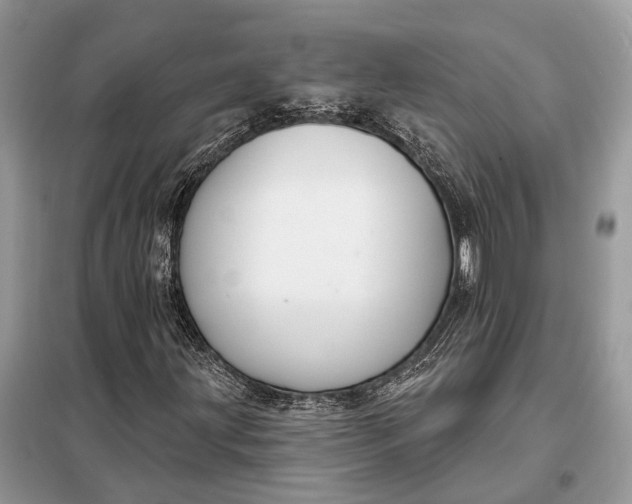 X0000098211203200805081127