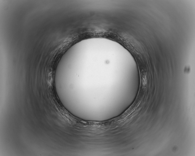 X0000098211204200805081127