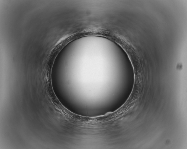 X0000098211206200805081127