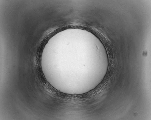 X0000098211207200805081127