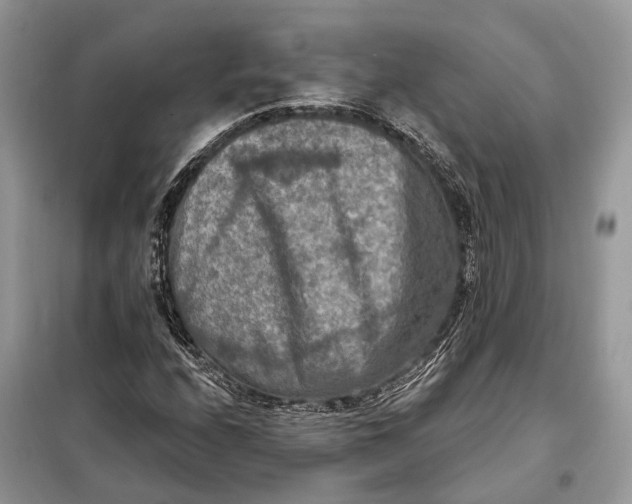 X0000098211208200805081127