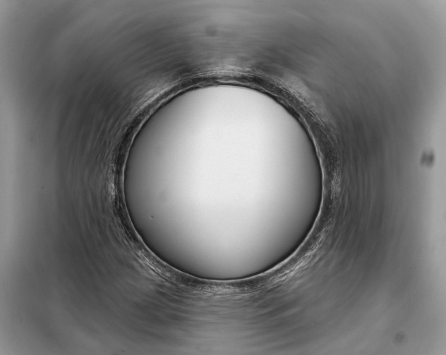 X0000098211209200805081127