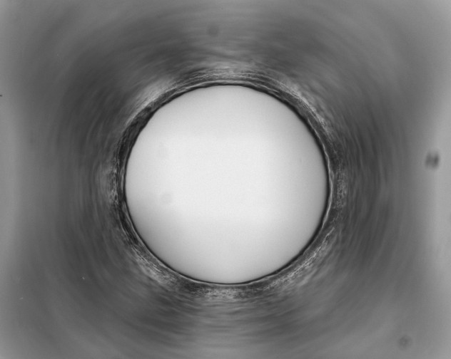 X0000098211211200805081127