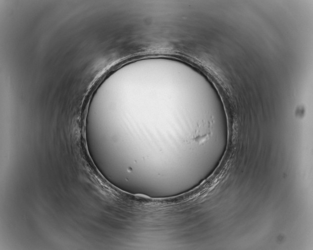 X0000098211212200805081127