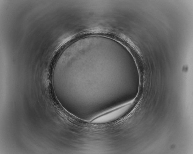 X0000098211213200805081127