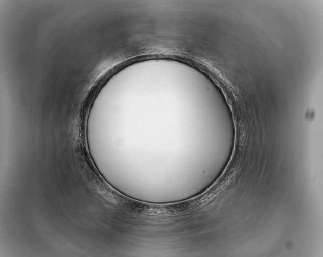 X0000098211215200805081127