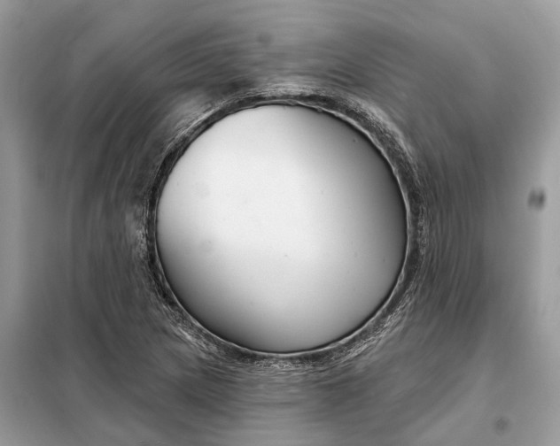 X0000098211217200805081127