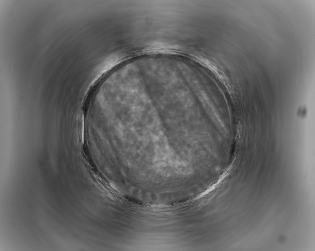 X0000098211219200805081127