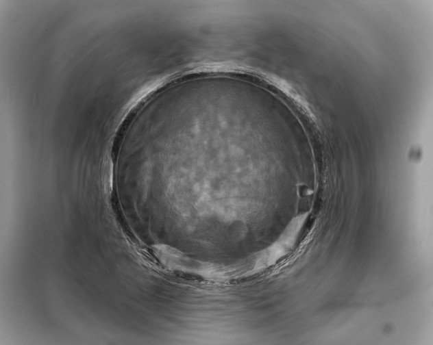 X0000098211221200805081127