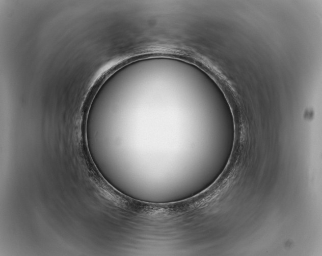 X0000098211222200805081127