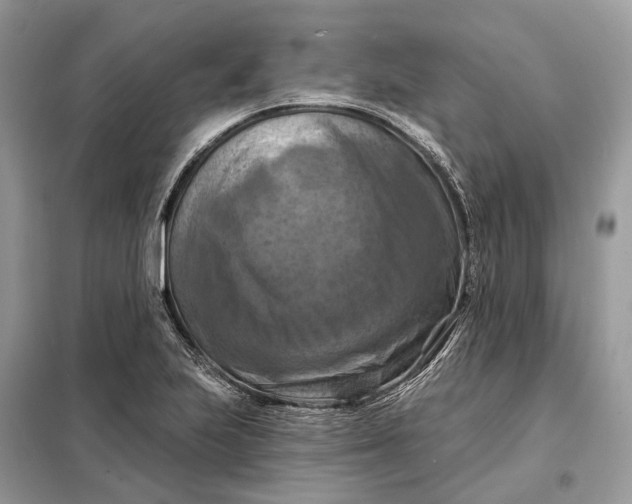 X0000098211223200805081127