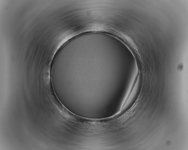 X0000098211226200805081127