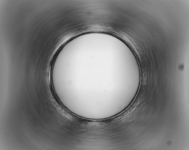 X0000098211227200805081127