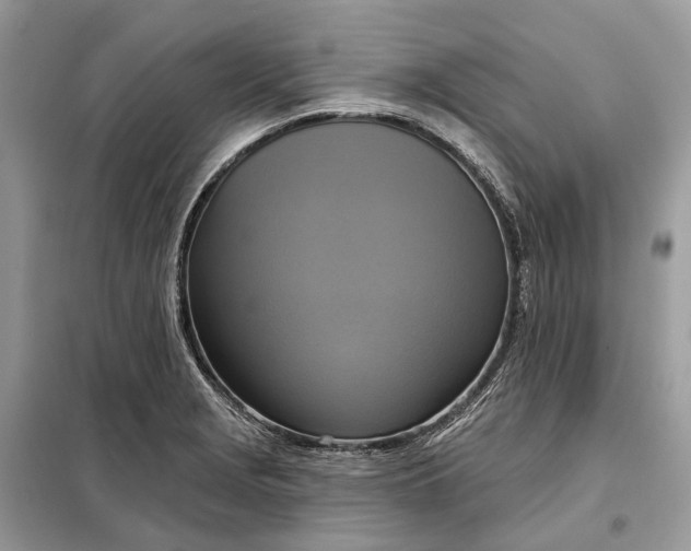 X0000098211229200805081127