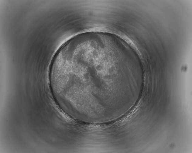 X0000098211230200805081127