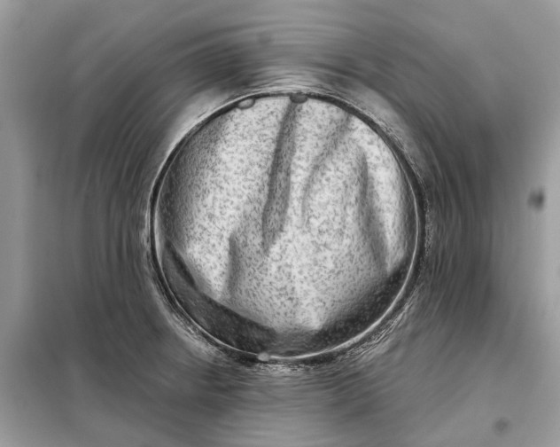 X0000098211234200805081127