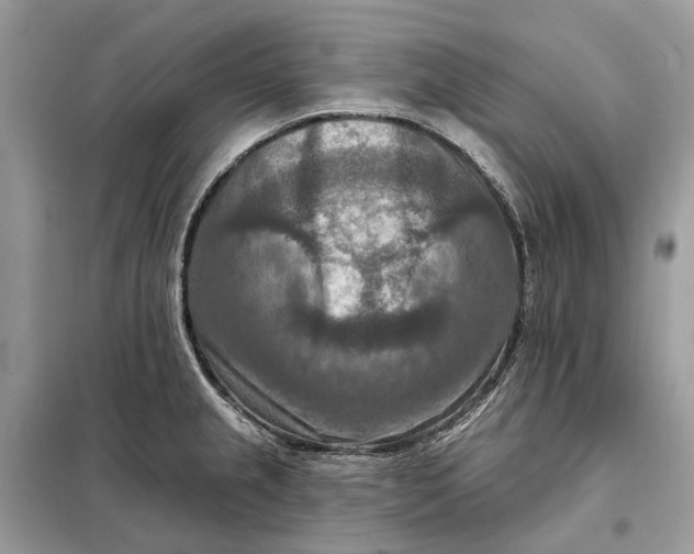 X0000098211237200805081127